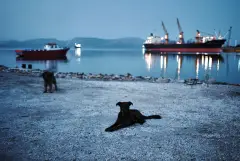 The Prism GR2011, photograph 71 of 80: Greece during the economic crisis, shot by the project's photojournalists.