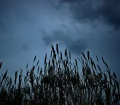 The Prism GR2011, photograph 3 of 25: a frame from the collective documentation of Greece.