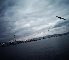 The Prism GR2011, photograph 7 of 25: a frame from the collective documentation of Greece.
