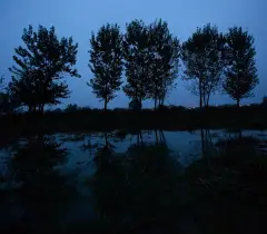The Prism GR2011, photograph 17 of 25: a frame from the collective documentation of Greece.