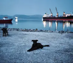 The Prism GR2011, photograph 21 of 25: a frame from the collective documentation of Greece.
